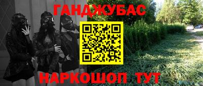 гашик Дубна