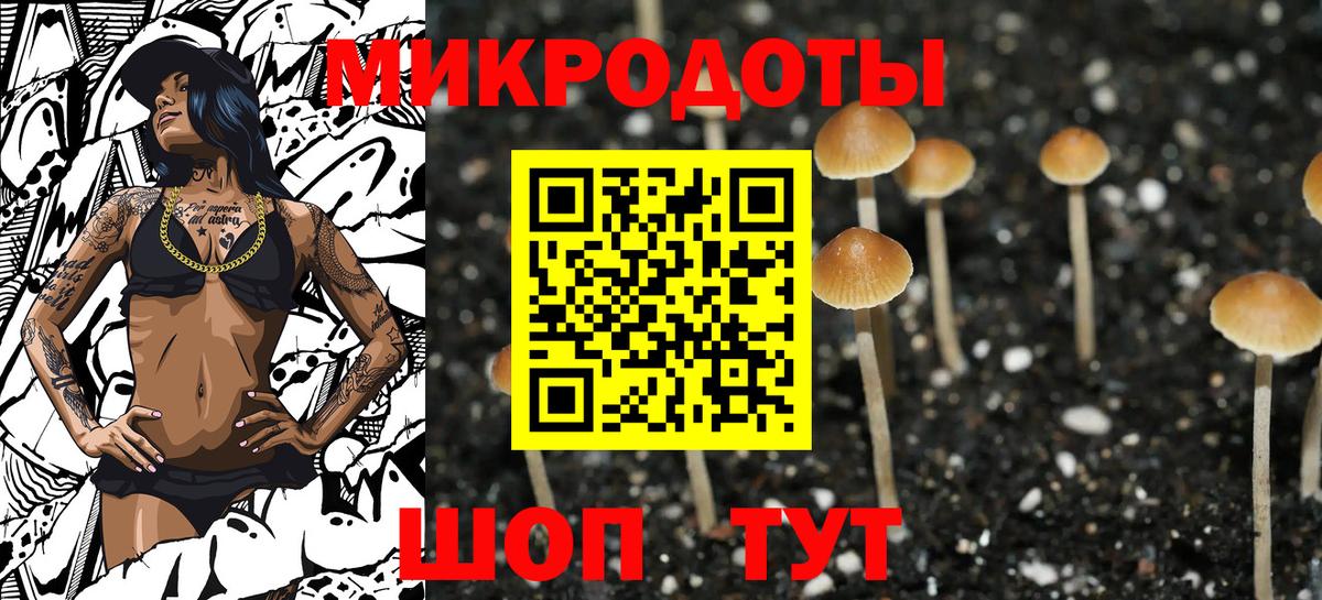 Псилоцибиновые грибы мицелий Минеральные Воды