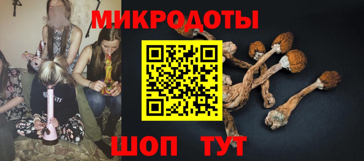 Минеральные Воды  Галлюциногенные грибы Psilocybe  Вход с VPN 